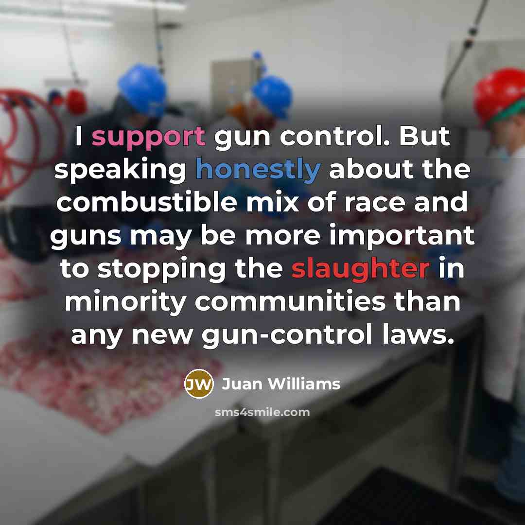 “I support gun control. But speaking honestly about the combustible mix of race and guns may be more important to stopping the slaughter in minority communities than any new gun-control laws.” quote by Juan Williams