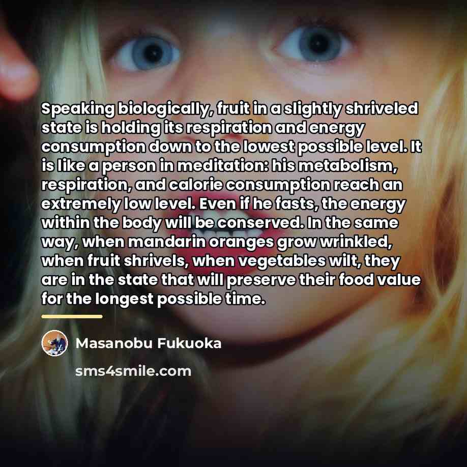 “Speaking biologically, fruit in a slightly shriveled state is holding…” quote by Masanobu Fukuoka