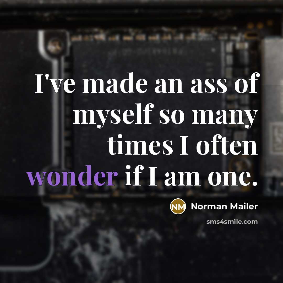 “I've made an ass of myself so many times I…” quote by Norman Mailer