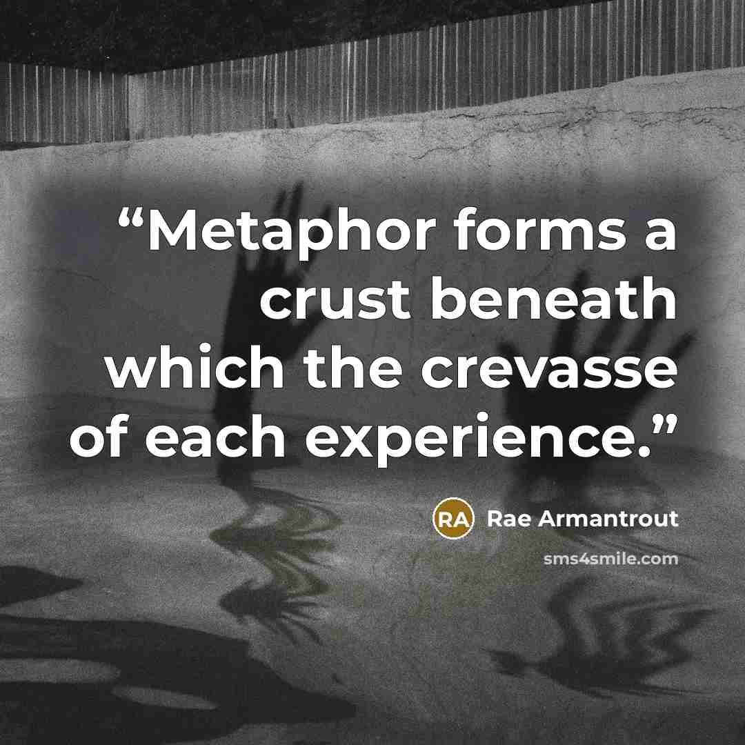 “Metaphor forms a crust beneath which the crevasse of each experience.” quote by Rae Armantrout