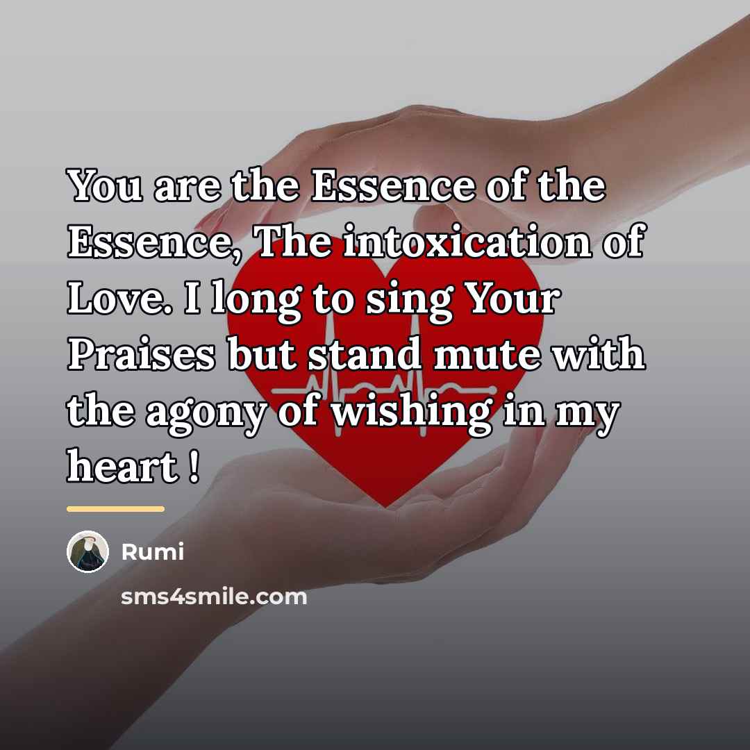 “You are the Essence of the Essence, The intoxication of…” quote by Rumi