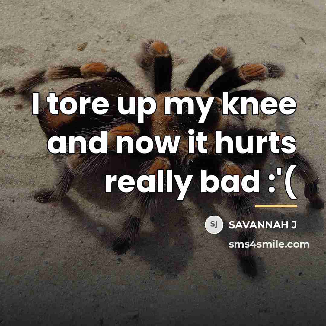 “I tore up my knee and now it hurts really…” quote by Savannah J