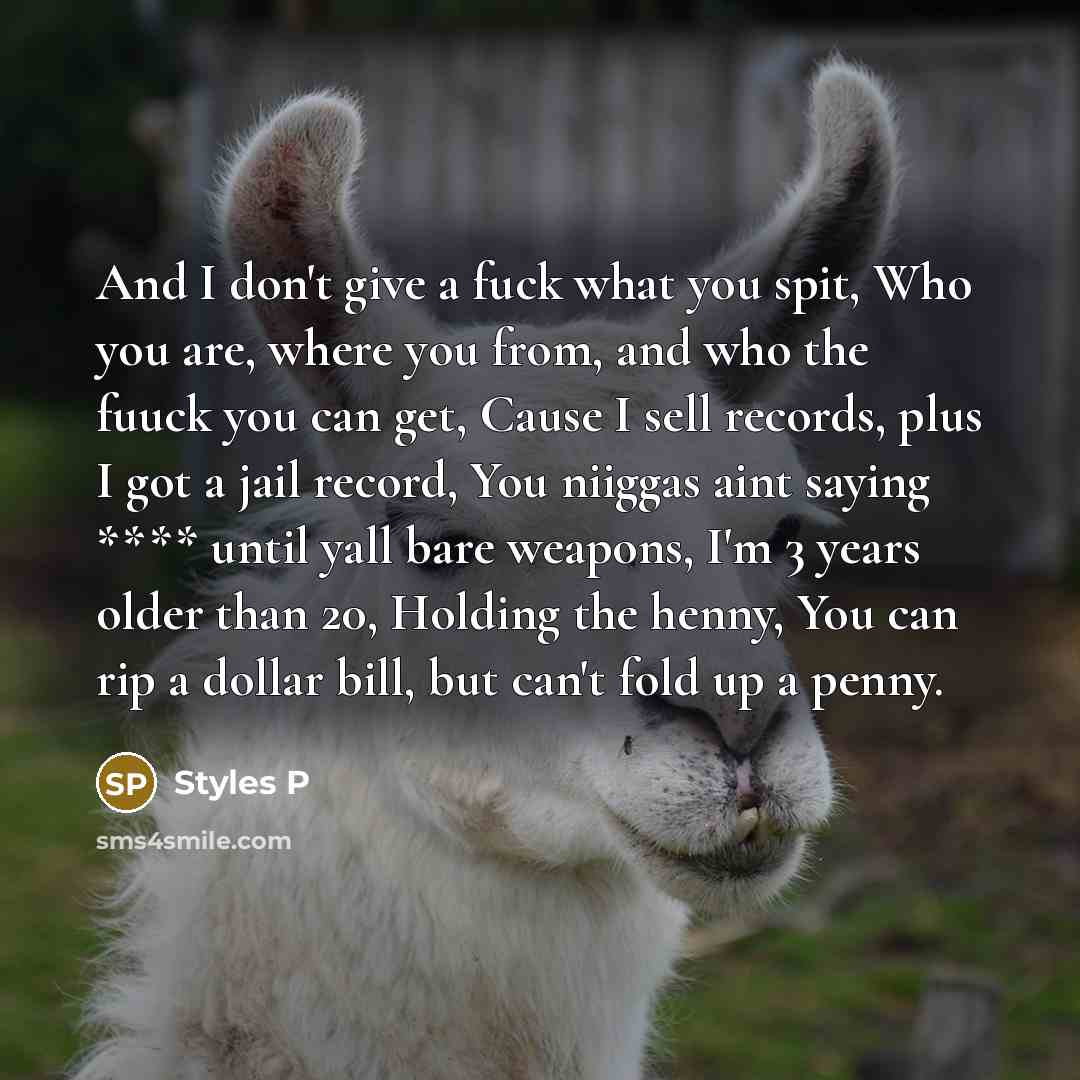 “And I don't give a fuck what you spit, Who…” quote by Styles P