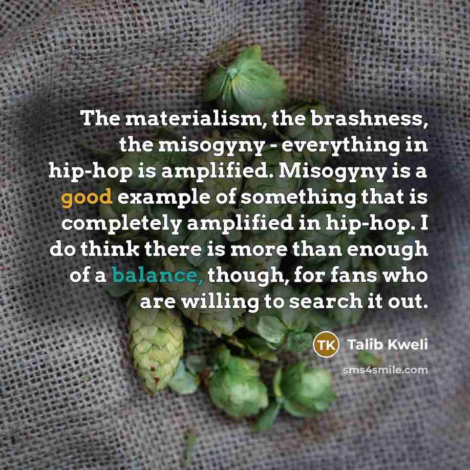 “The materialism, the brashness, the misogyny - everything in hip-hop is amplified. Misogyny is a good example of something that is completely amplified in hip-hop. I do think there is more than enough of a balance, though, for fans who are willing to search it out.” quote by Talib Kweli