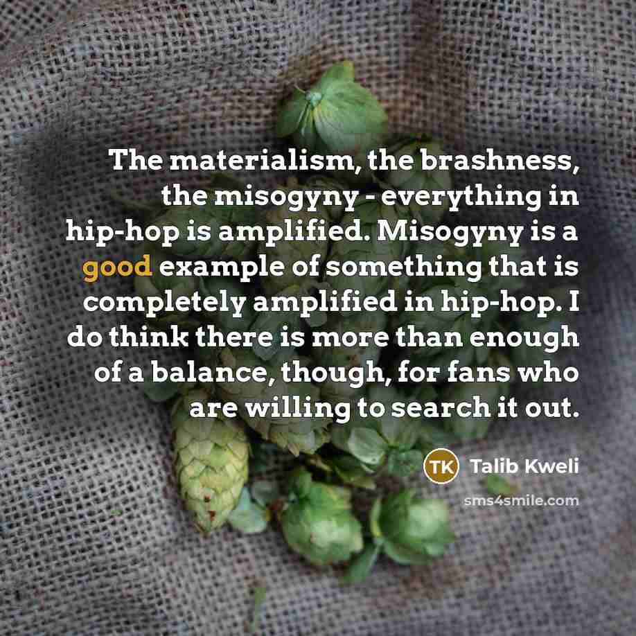 “The materialism, the brashness, the misogyny - everything in hip-hop…” quote by Talib Kweli