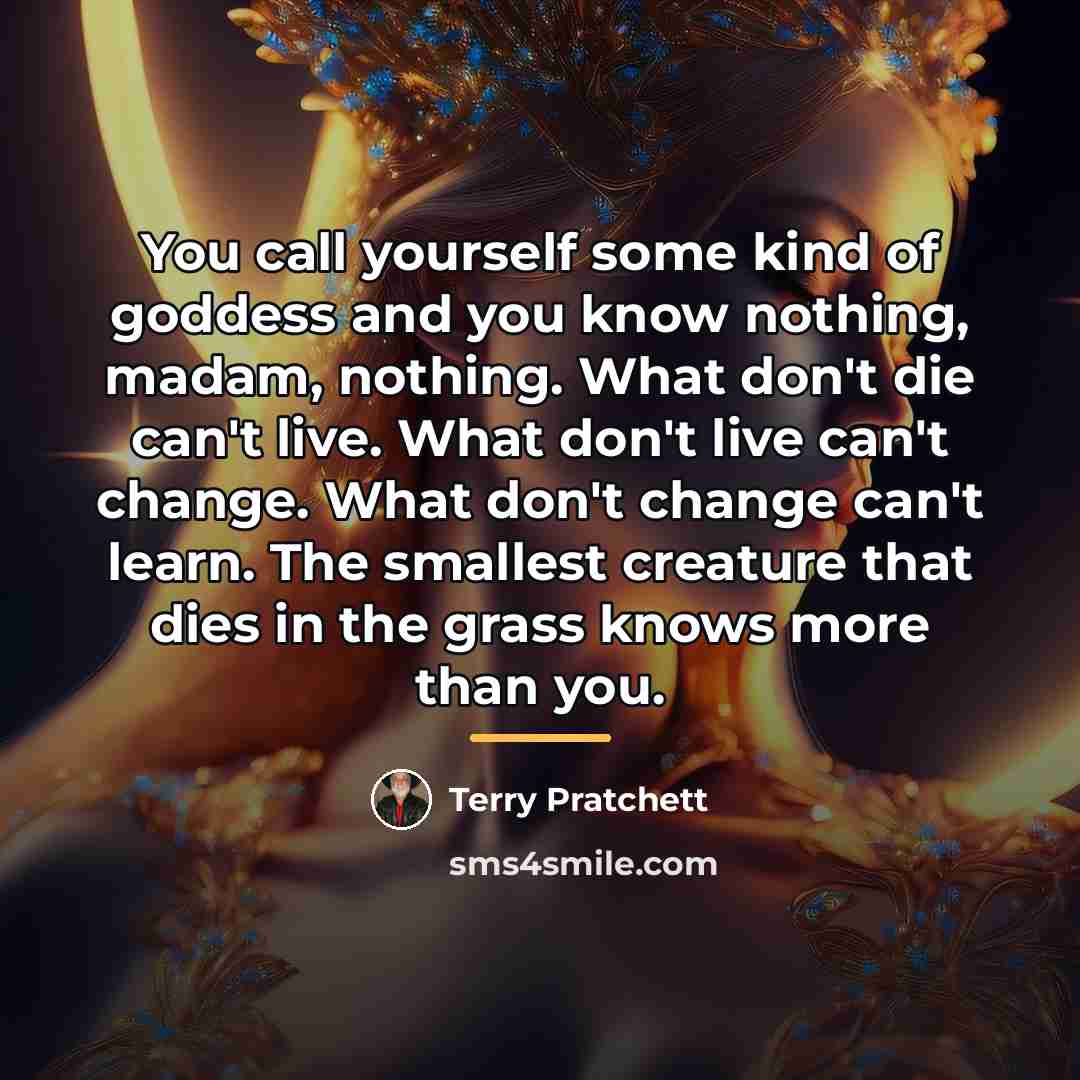 “You call yourself some kind of goddess and you know…” quote by Terry Pratchett