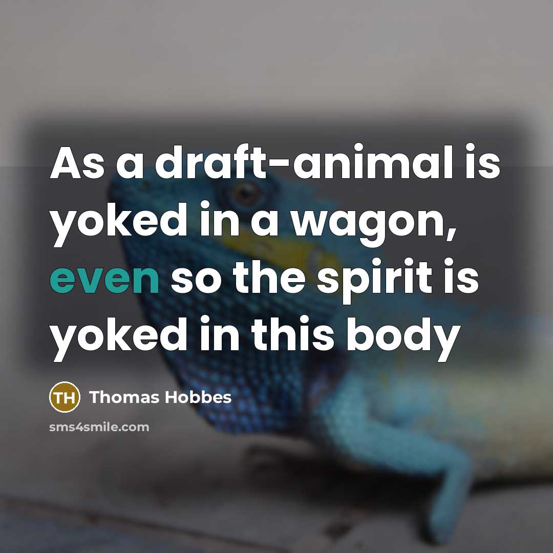 “As a draft-animal is yoked in a wagon, even so…” quote by Thomas Hobbes