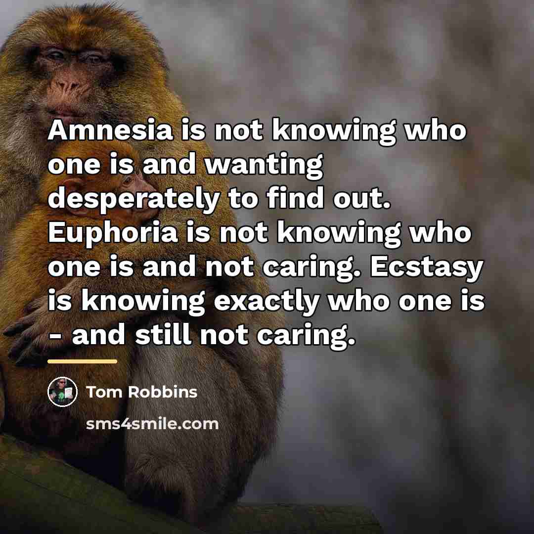 “Amnesia is not knowing who one is and wanting desperately…” quote by Tom Robbins