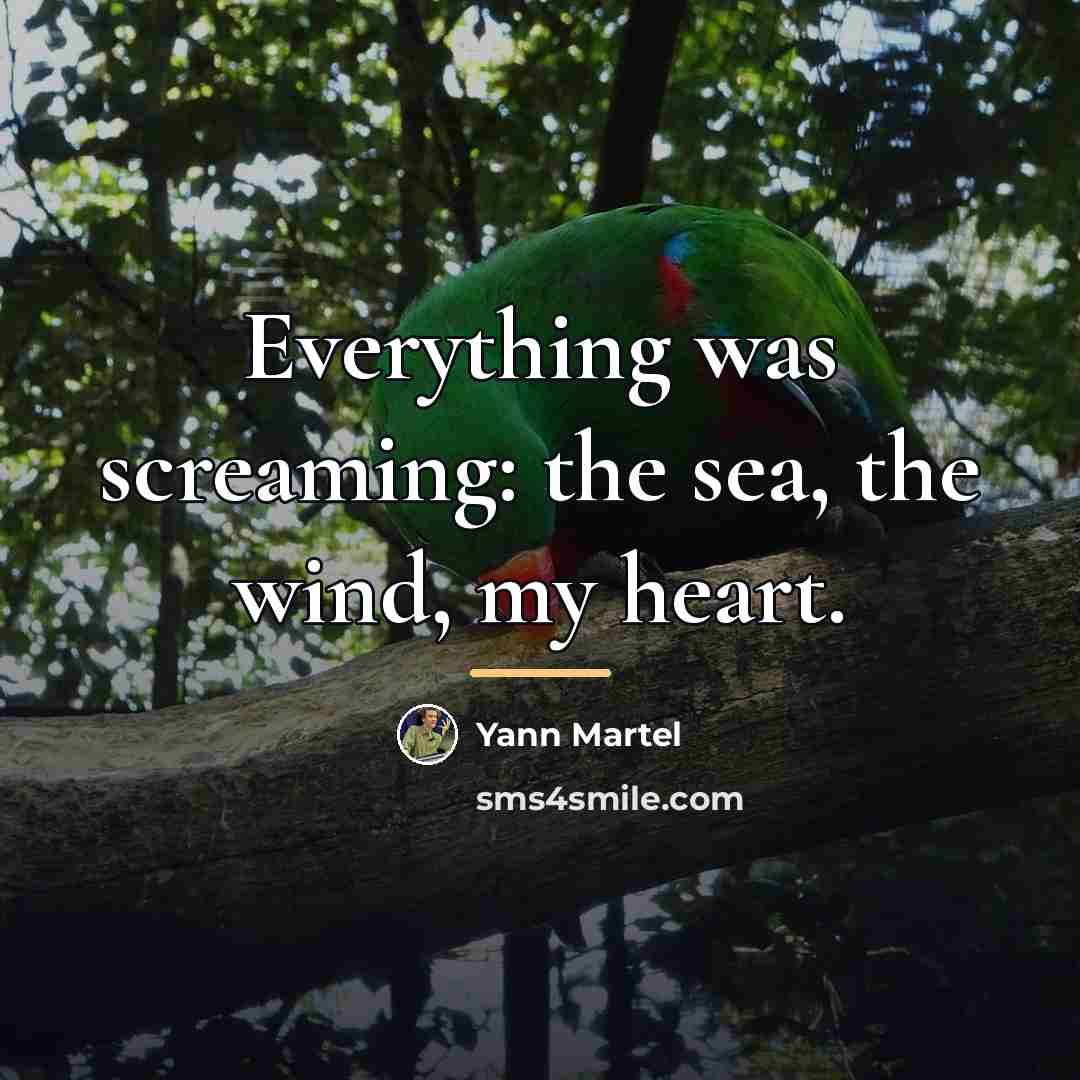 “Everything was screaming: the sea, the wind, my heart.…” quote by Yann Martel