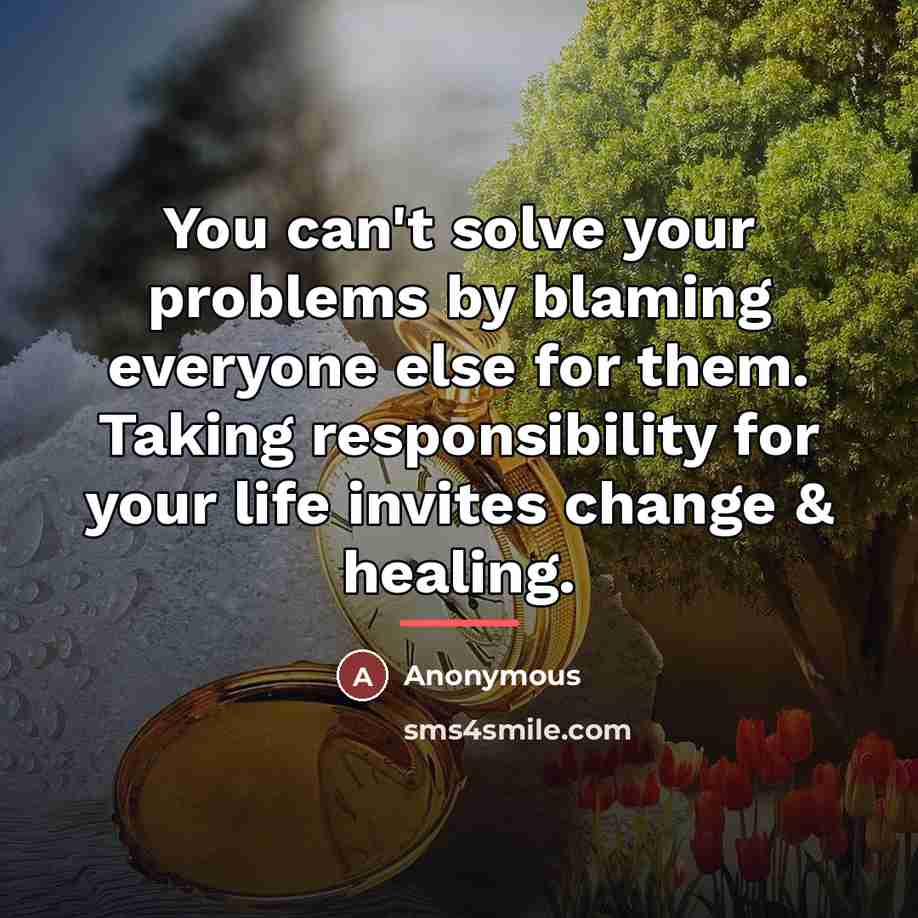 “You can't solve your problems by blaming everyone else for…” quote by Anonymous