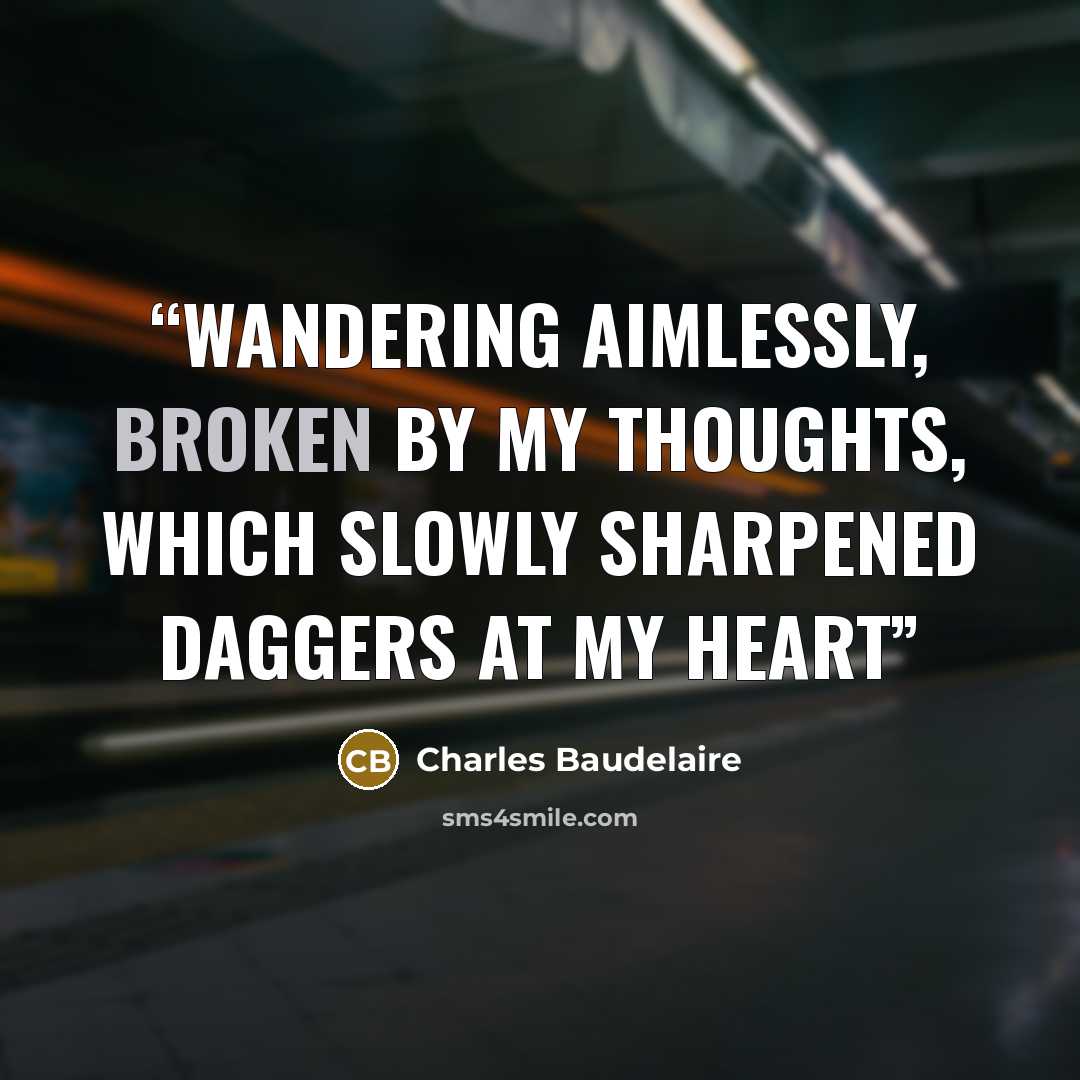 “Wandering aimlessly, broken by my thoughts, Which slowly sharpened daggers at my heart” quote by Charles Baudelaire