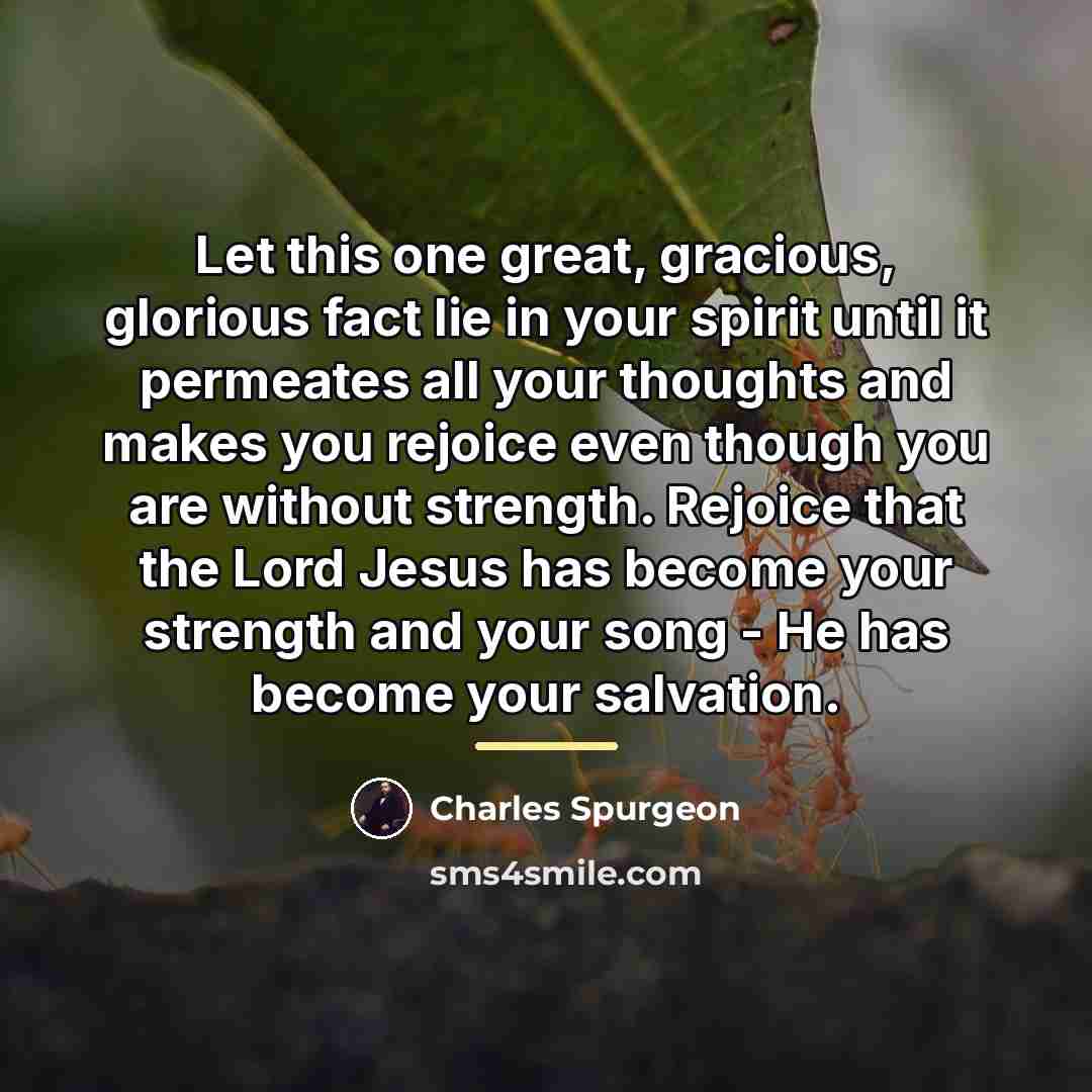 “Let this one great, gracious, glorious fact lie in your…” quote by Charles Spurgeon