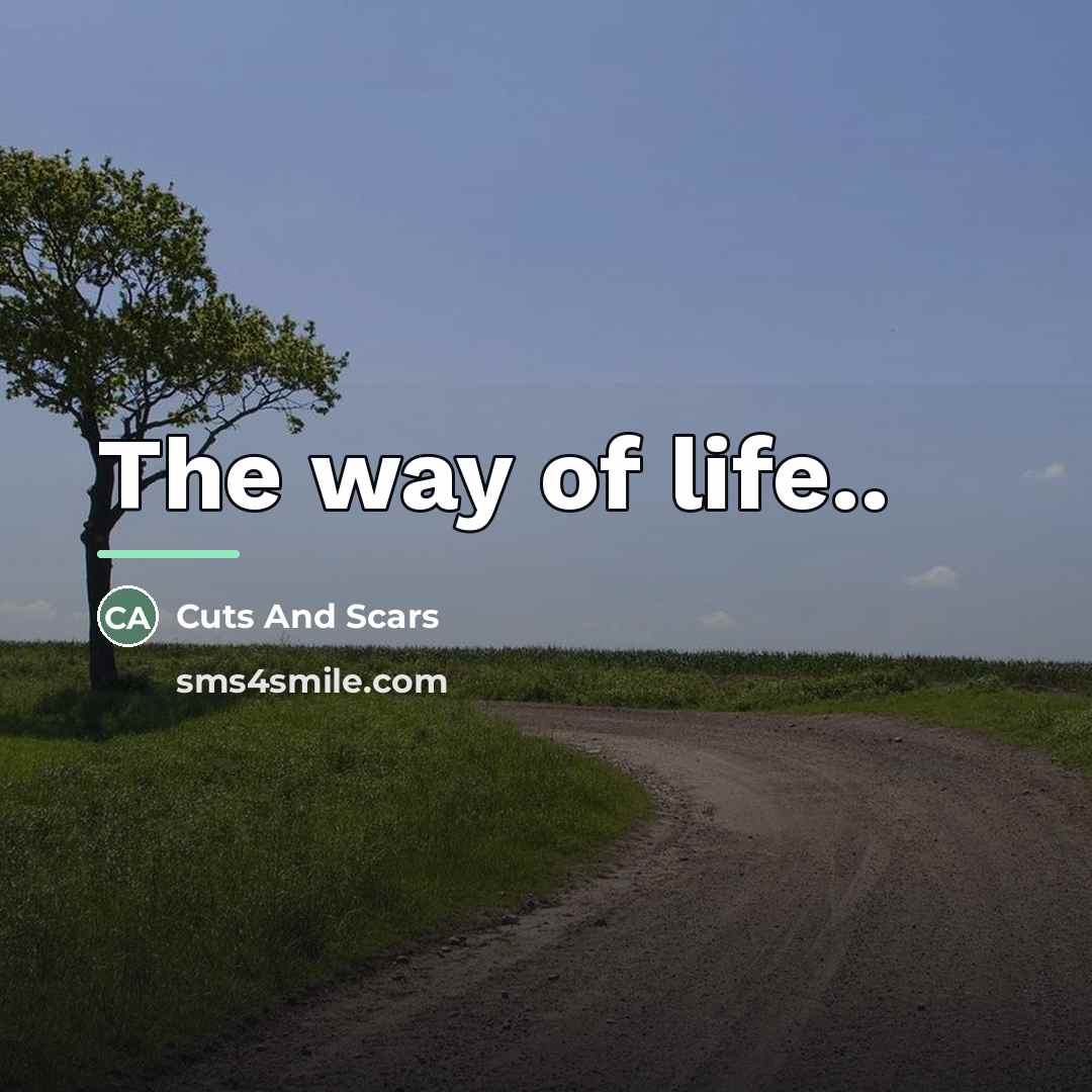 “The way of life..…” quote by Cuts And Scars