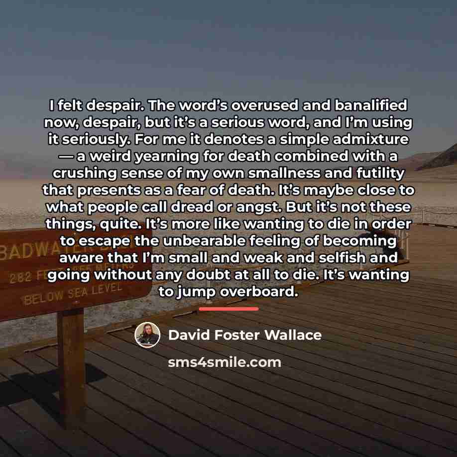 “I felt despair. The word’s overused and banalified now, despair,…” quote by David Foster Wallace