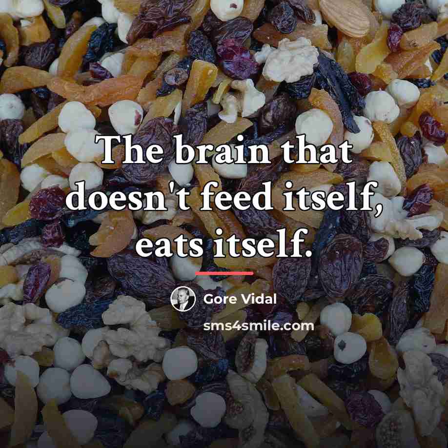 “The brain that doesn't feed itself, eats itself.…” quote by Gore Vidal