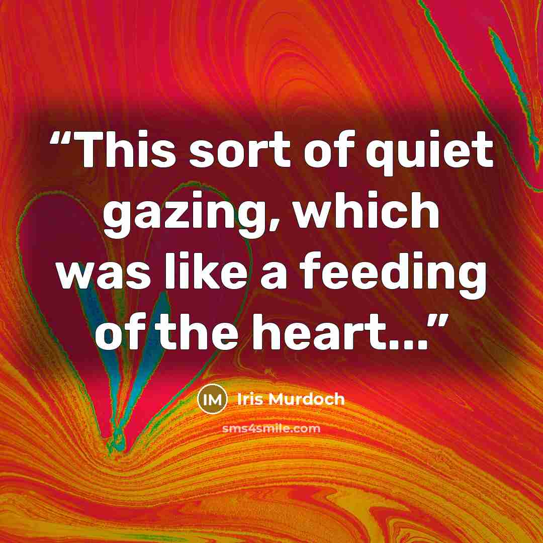 “This sort of quiet gazing, which was like a feeding of the heart...” quote by Iris Murdoch