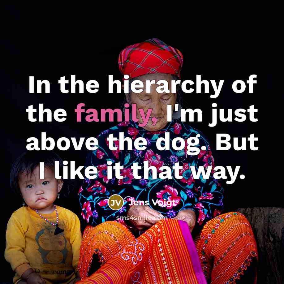 “In the hierarchy of the family, I'm just above the…” quote by Jens Voigt