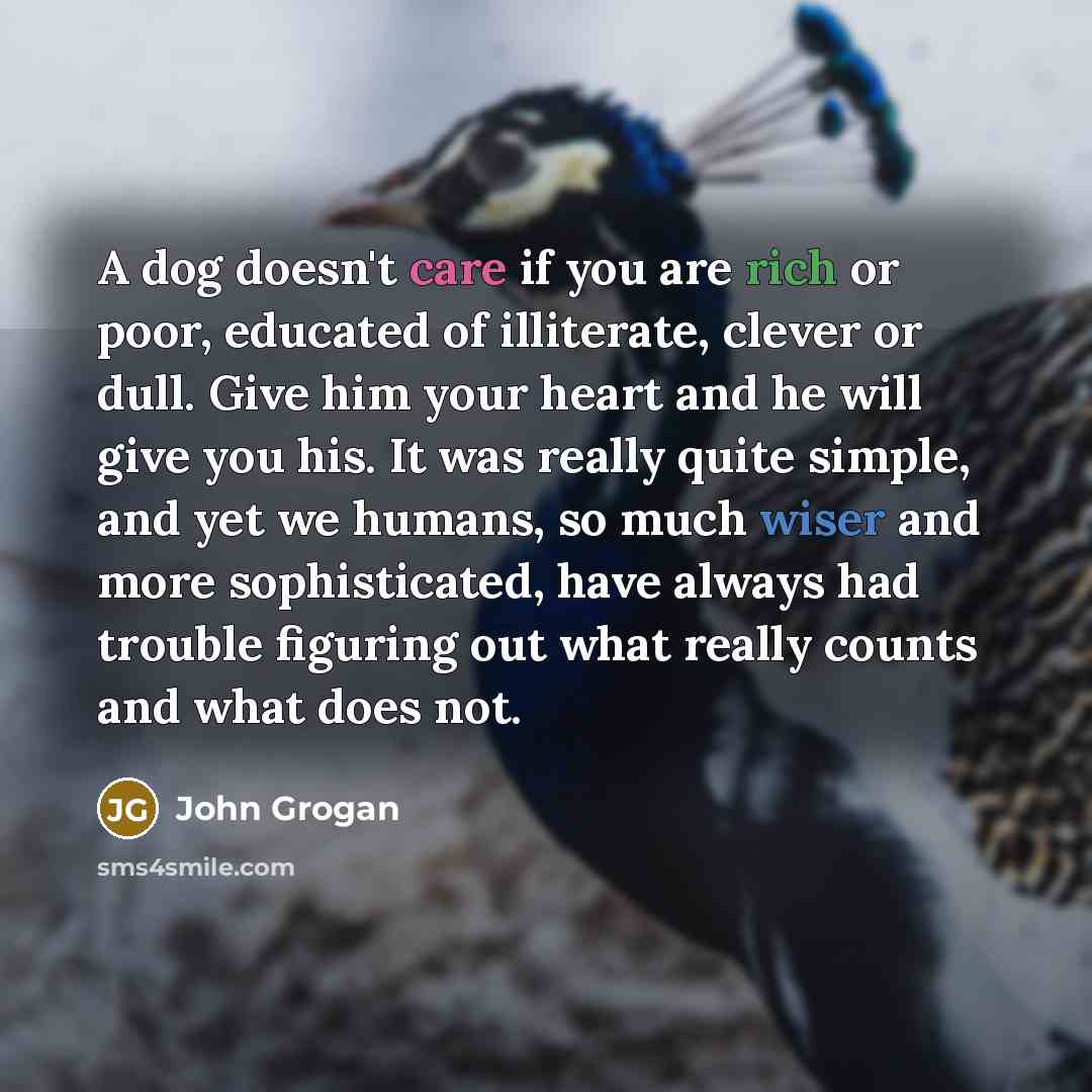 “A dog doesn't care if you are rich or poor, educated of illiterate, clever or dull. Give him your heart and he will give you his. It was really quite simple, and yet we humans, so much wiser and more sophisticated, have always had trouble figuring out what really counts and what does not.” quote by John Grogan