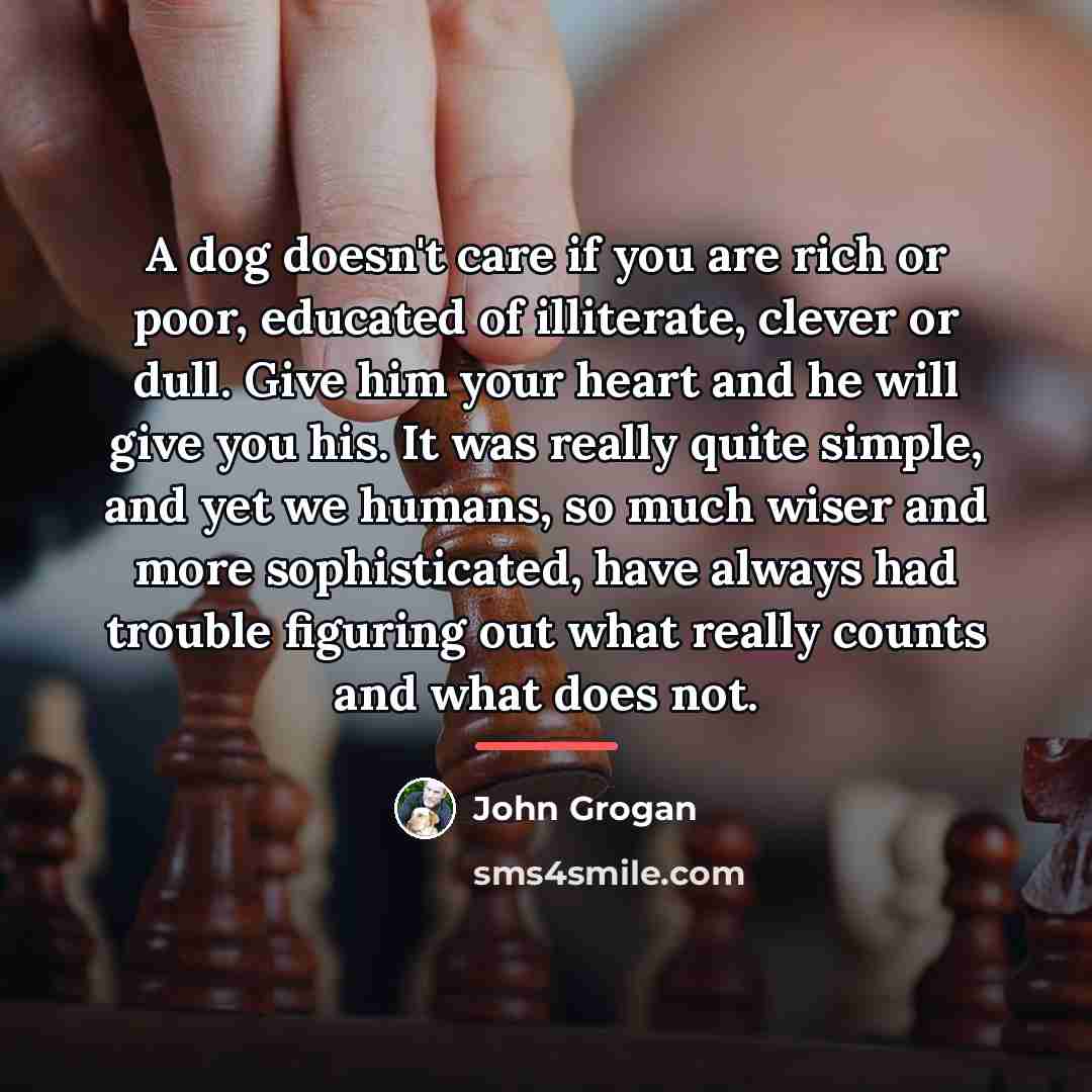“A dog doesn't care if you are rich or poor,…” quote by John Grogan