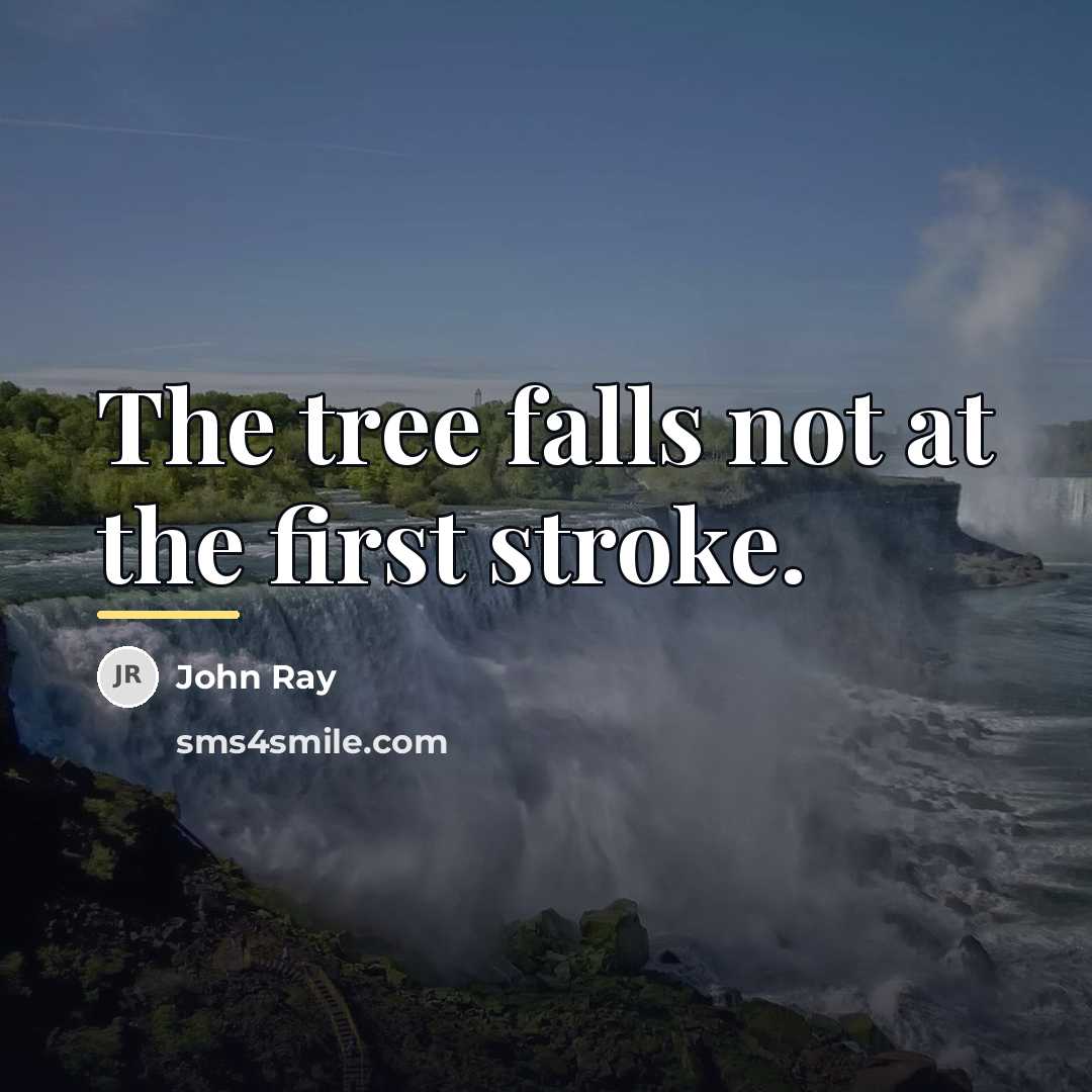 “The tree falls not at the first stroke.…” quote by John Ray