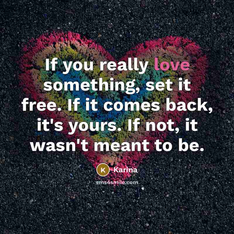 “If you really love something, set it free. If it…” quote by Karina