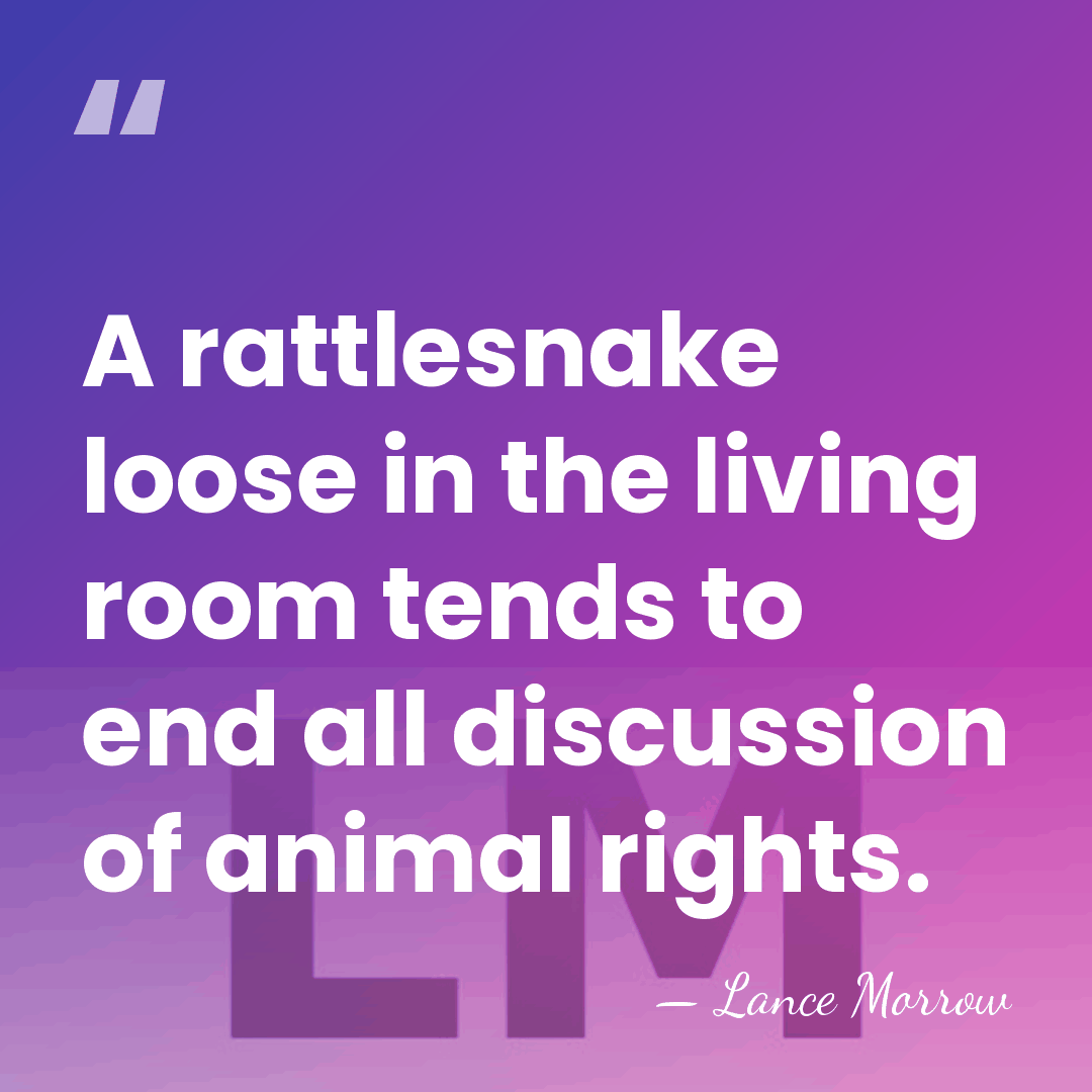 A rattlesnake loose in the living room tends to end all discussion&hellip; - Lance Morrow