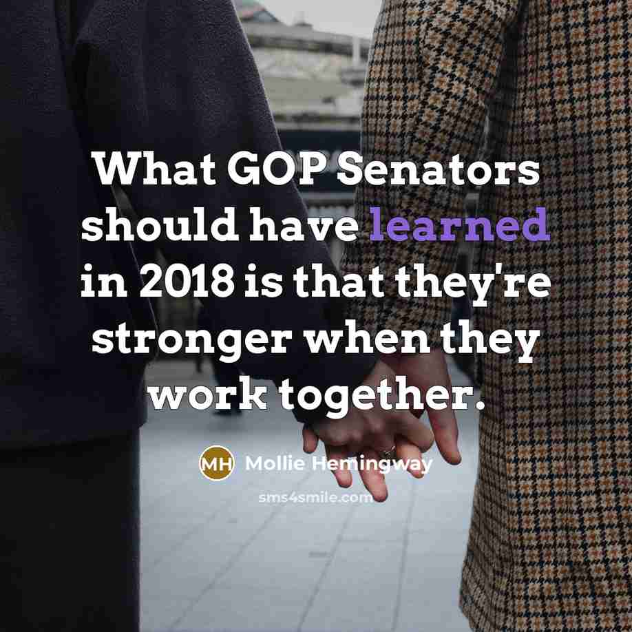 “What GOP Senators should have learned in 2018 is that…” quote by Mollie Hemingway