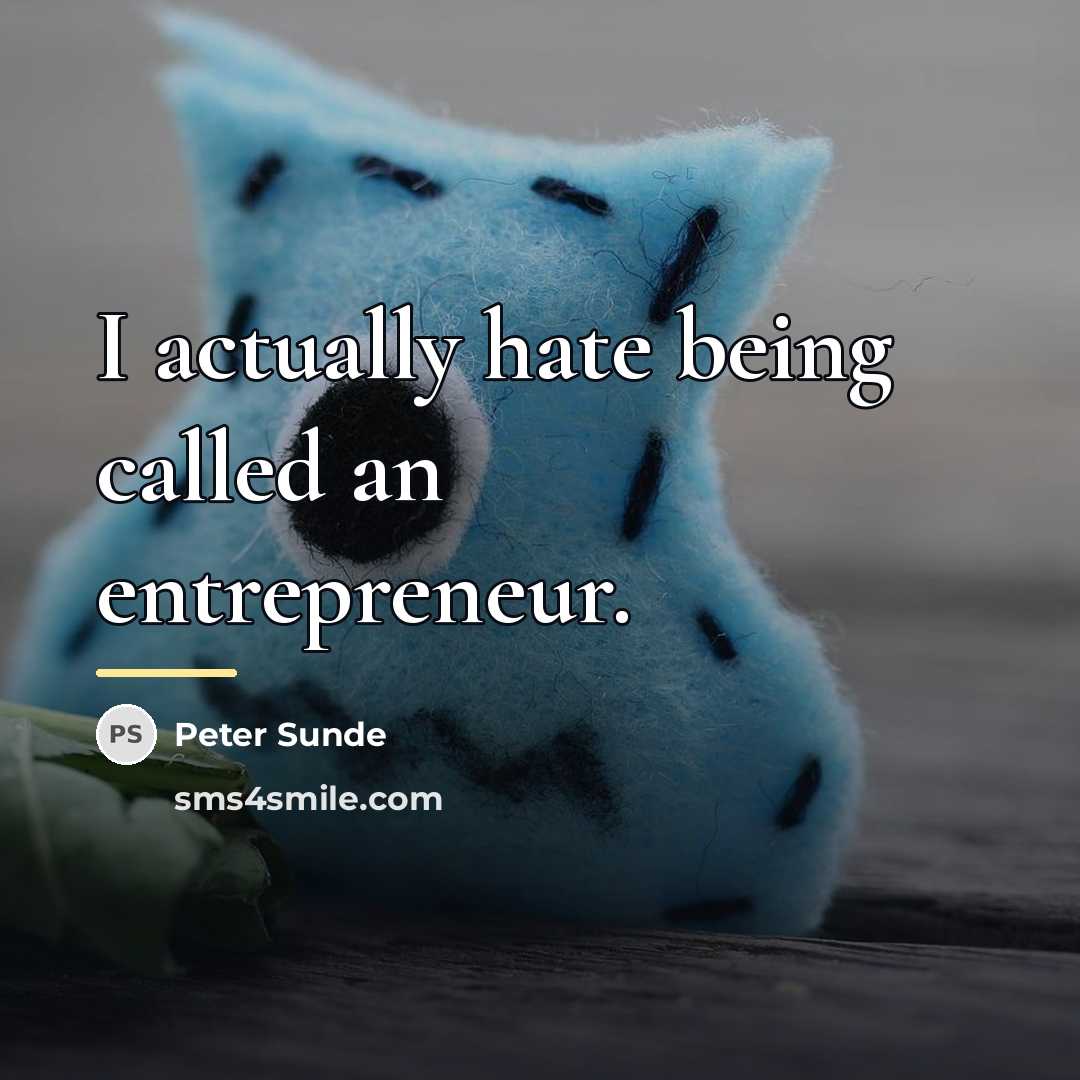 “I actually hate being called an entrepreneur.…” quote by Peter Sunde