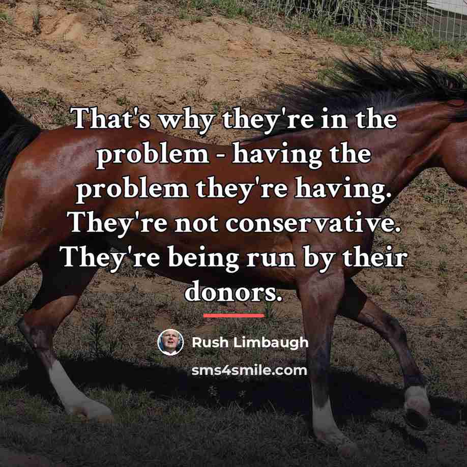 “That's why they're in the problem - having the problem…” quote by Rush Limbaugh