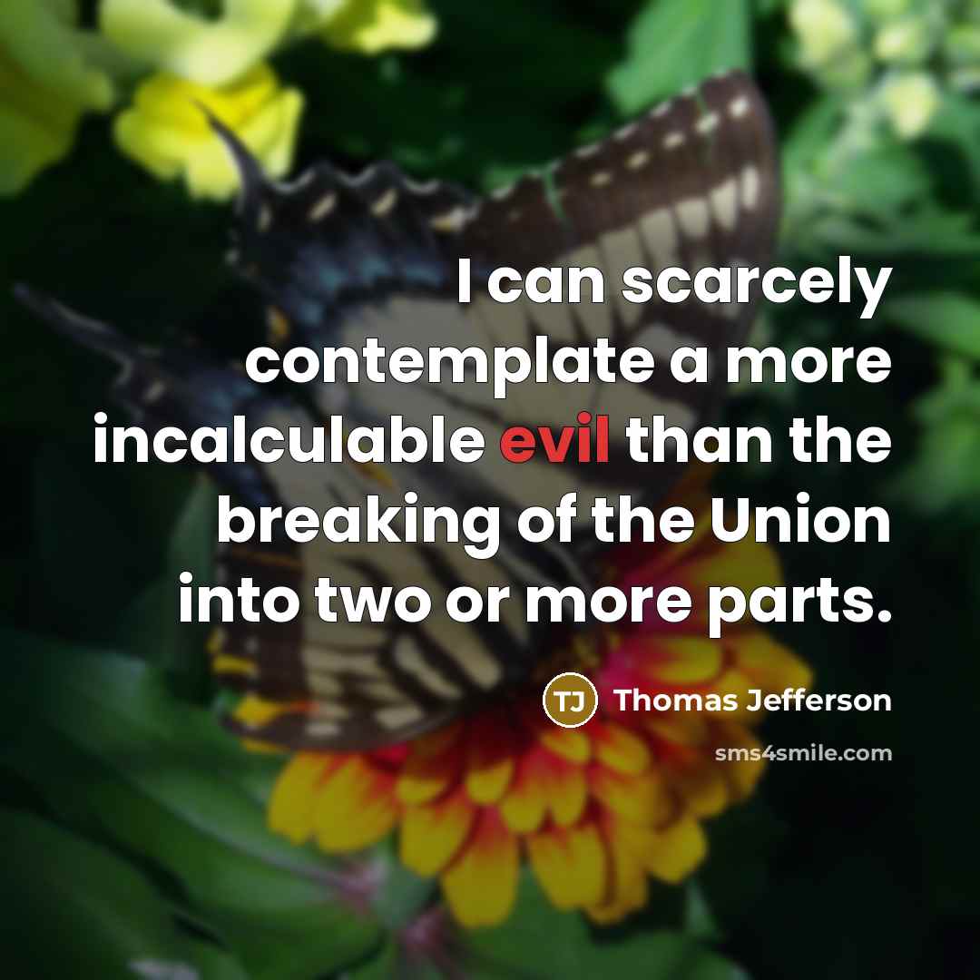 “I can scarcely contemplate a more incalculable evil than the…” quote by Thomas Jefferson