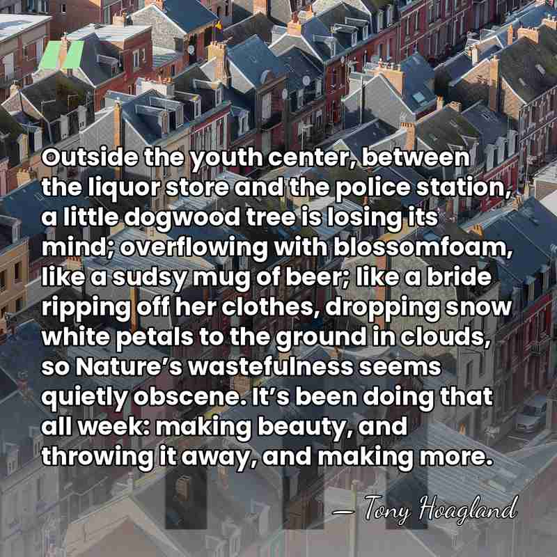 Outside the youth center, between the liquor store and the police station,&hellip; - Tony Hoagland