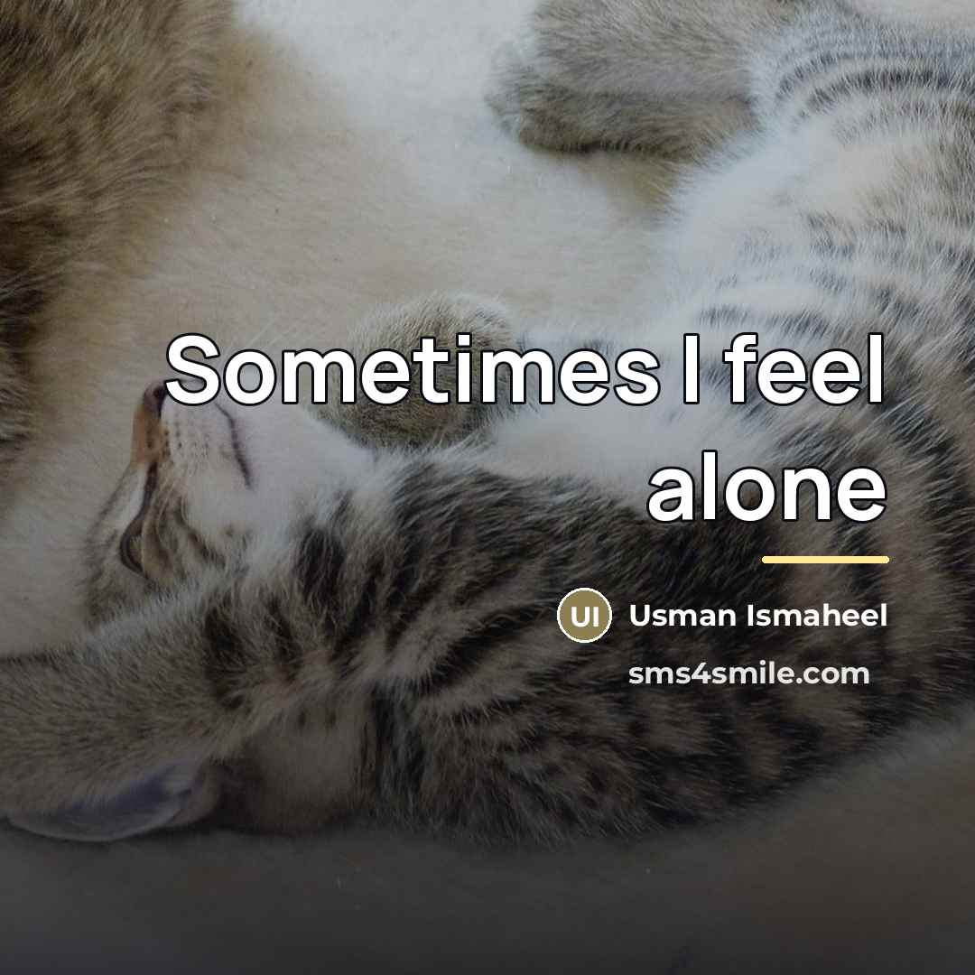 “Sometimes I feel alone…” quote by Usman Ismaheel