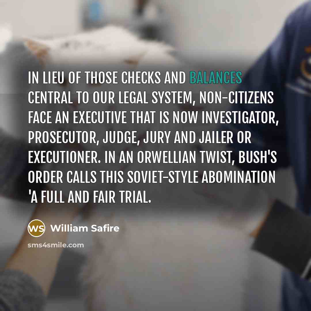 “In lieu of those checks and balances central to our…” quote by William Safire