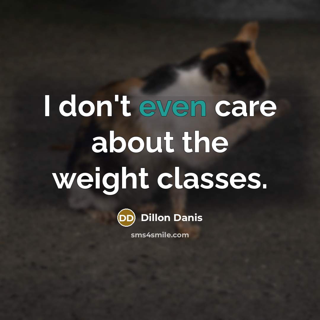 “I don't even care about the weight classes.…” quote by Dillon Danis