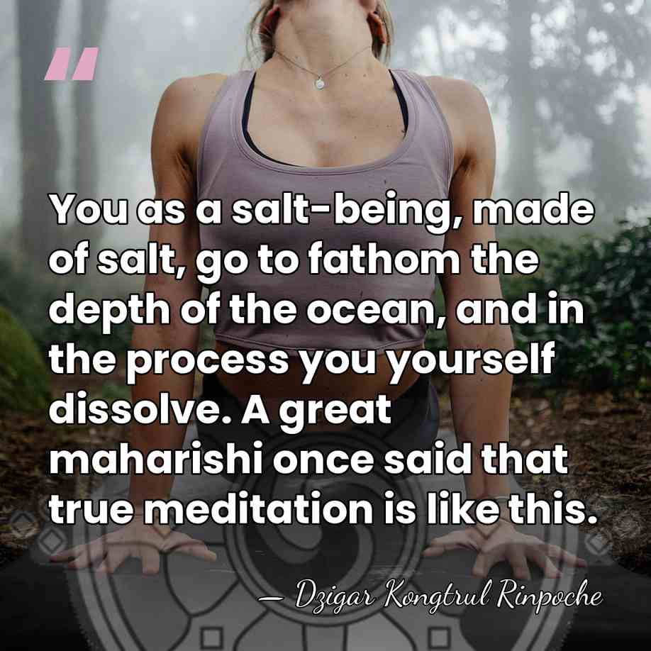 You as a salt-being, made of salt, go to fathom the depth&hellip; - Dzigar Kongtrul Rinpoche