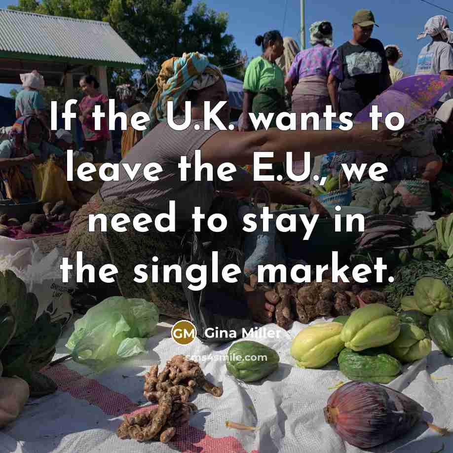 “If the U.K. wants to leave the E.U., we need to stay in the single market.” quote by Gina Miller