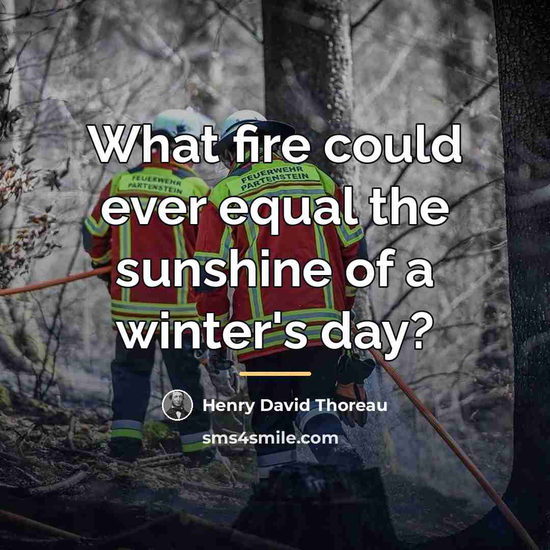 “What fire could ever equal the sunshine of a winter's…” quote by Henry David Thoreau