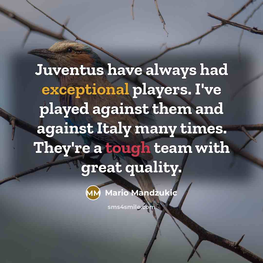 “Juventus have always had exceptional players. I've played against them…” quote by Mario Mandzukic