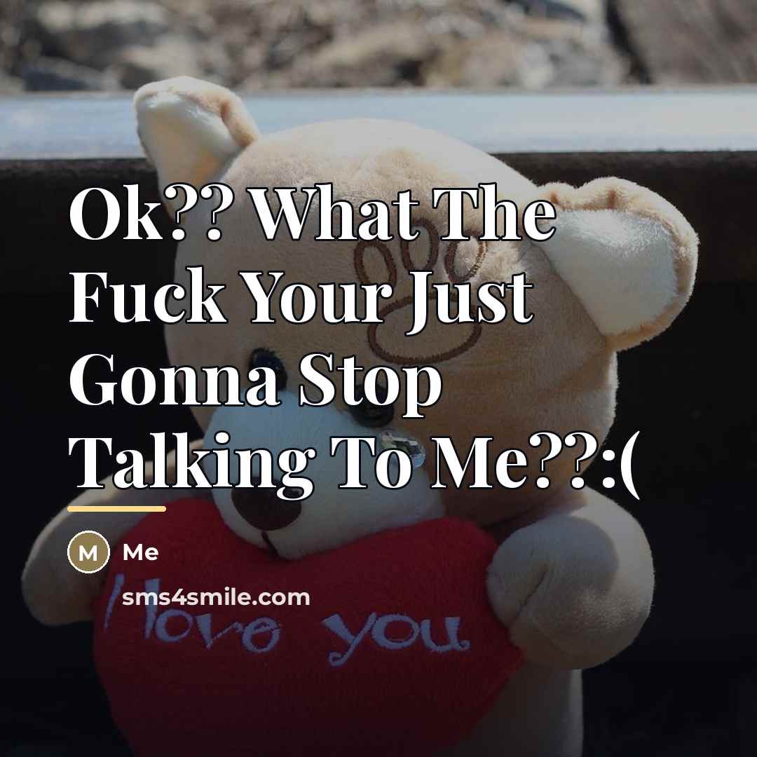 “Ok?? What The Fuck Your Just Gonna Stop Talking To…” quote by Me