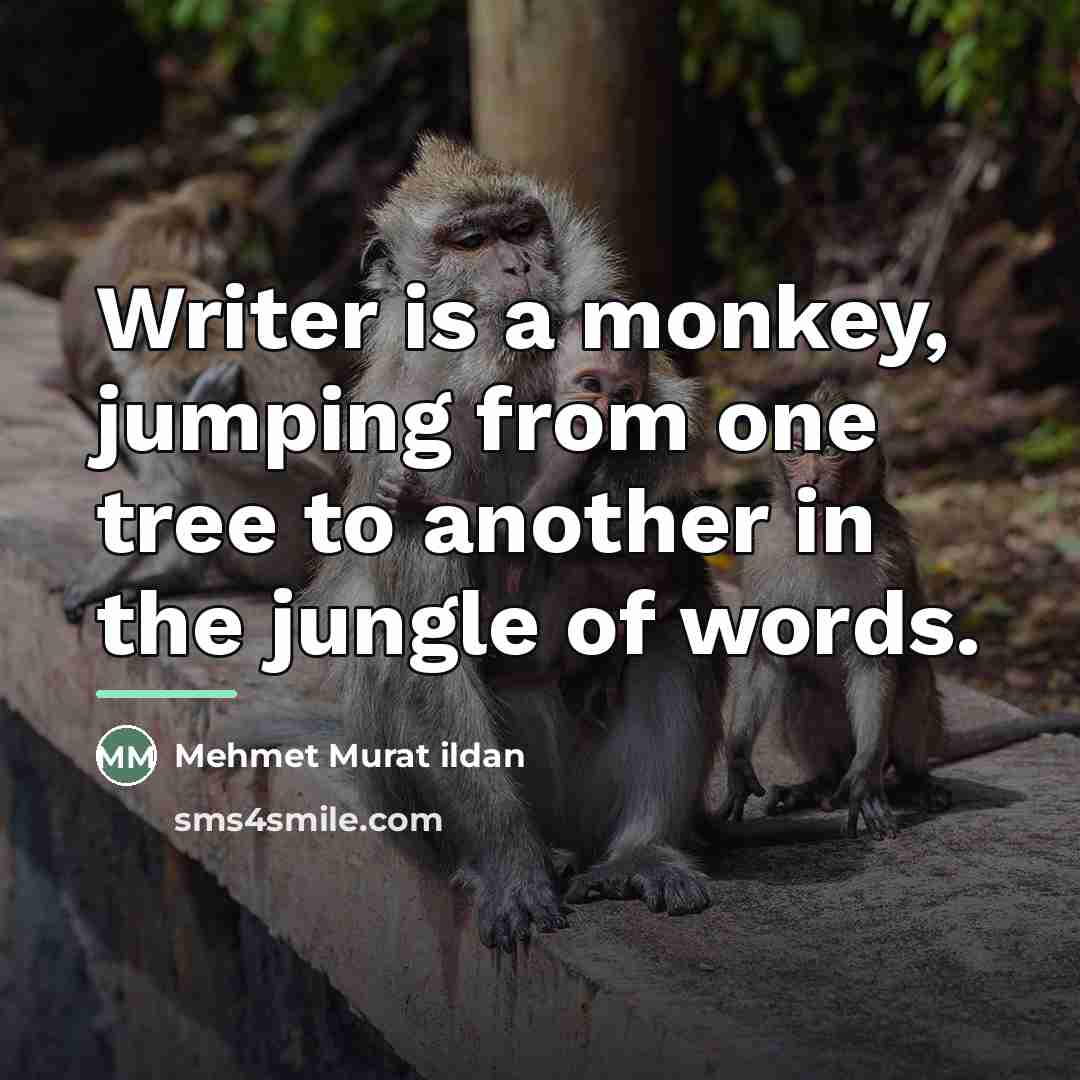 “Writer is a monkey, jumping from one tree to another…” quote by Mehmet Murat Ildan