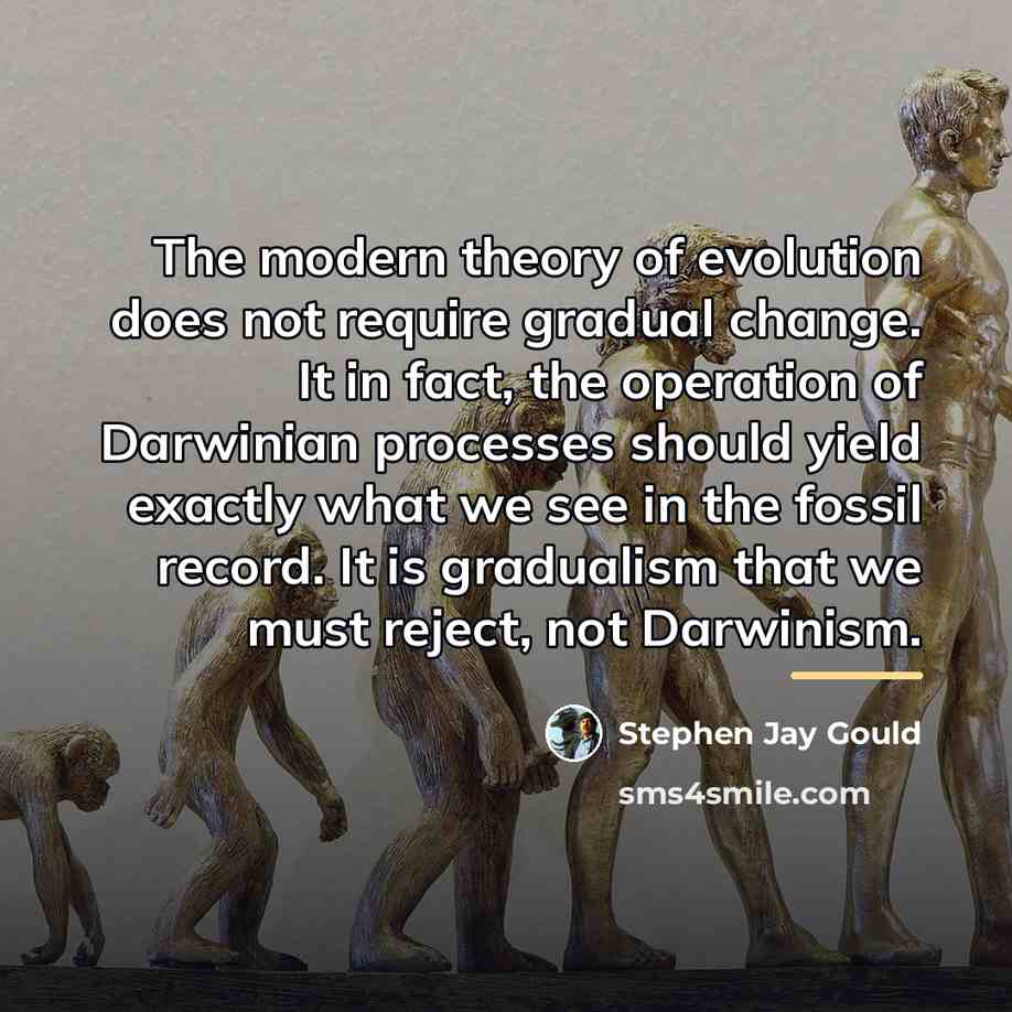 “The modern theory of evolution does not require gradual change.…” quote by Stephen Jay Gould