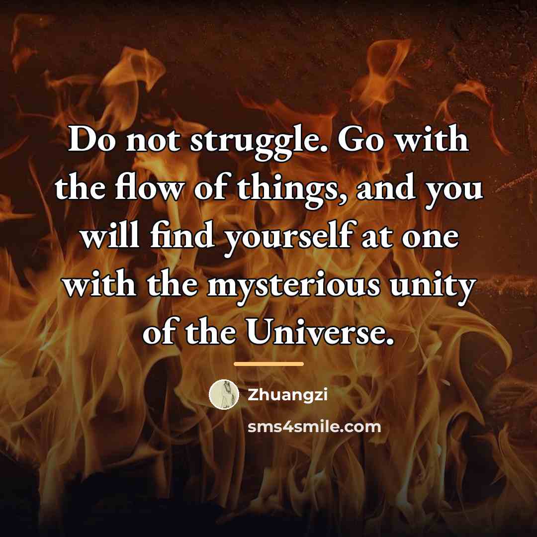 “Do not struggle. Go with the flow of things, and…” quote by Zhuangzi