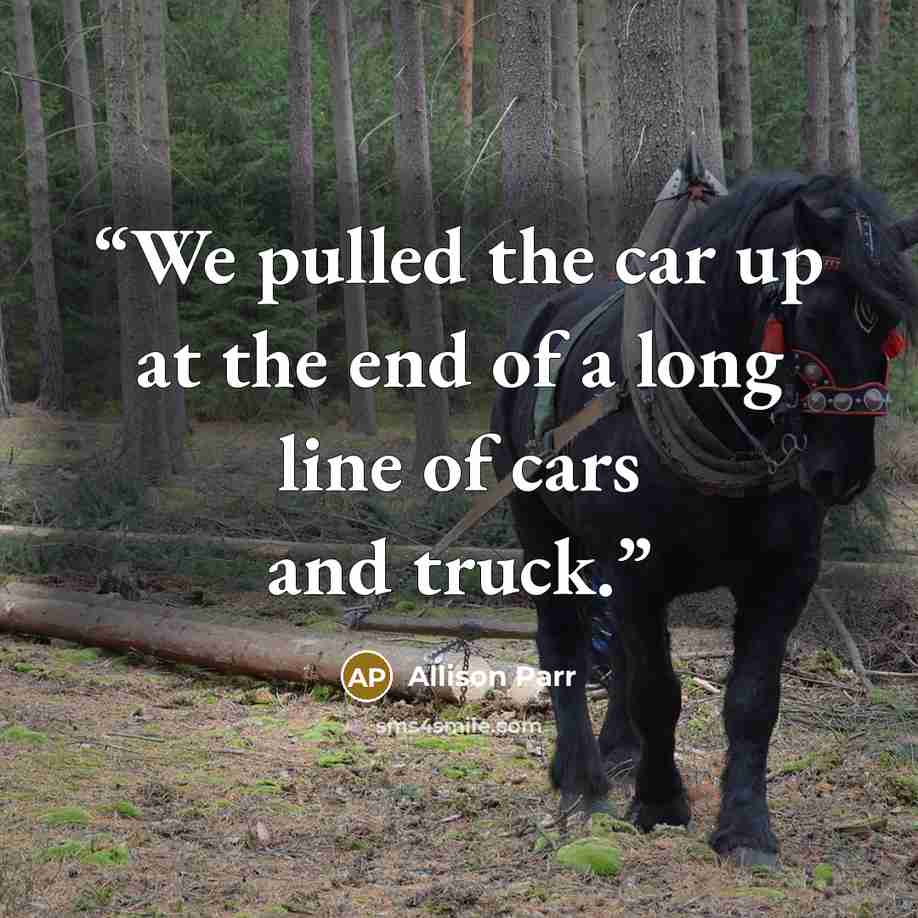 “We pulled the car up at the end of a long line of cars and truck.” quote by Allison Parr