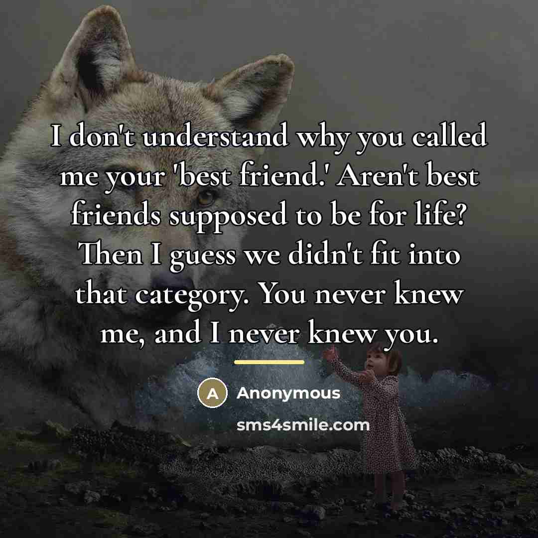 “I don't understand why you called me your 'best friend.'…” quote by Anonymous