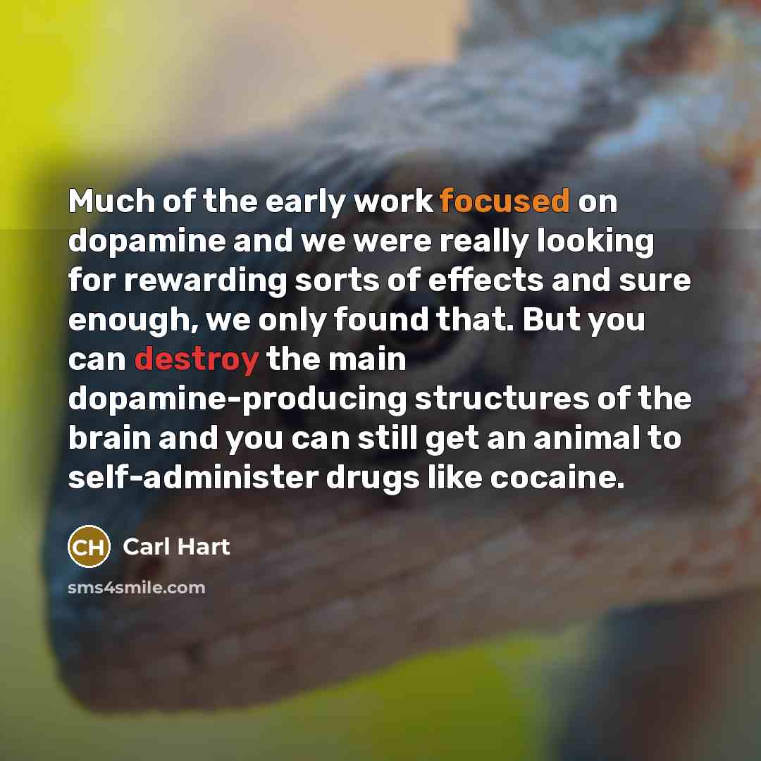 “Much of the early work focused on dopamine and we…” quote by Carl Hart