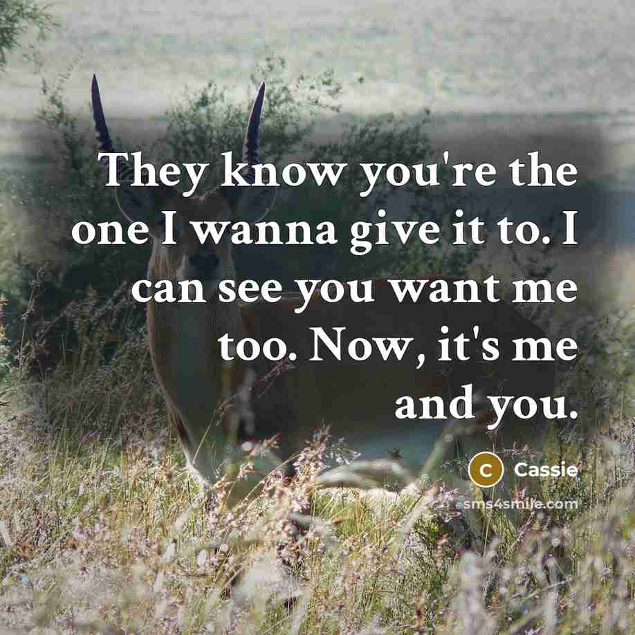 “They know you're the one I wanna give it to. I can see you want me too. Now, it's me and you.” quote by Cassie