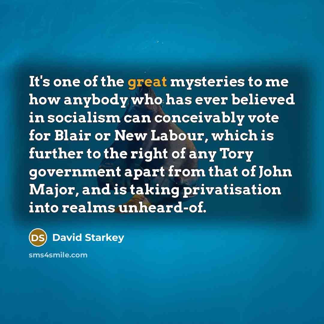 “It's one of the great mysteries to me how anybody…” quote by David Starkey