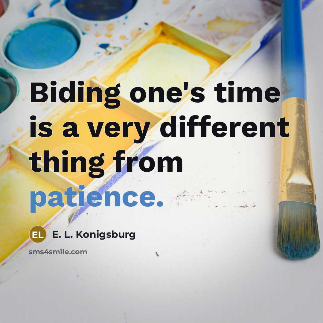 “Biding one's time is a very different thing from patience.…” quote by E. L. Konigsburg