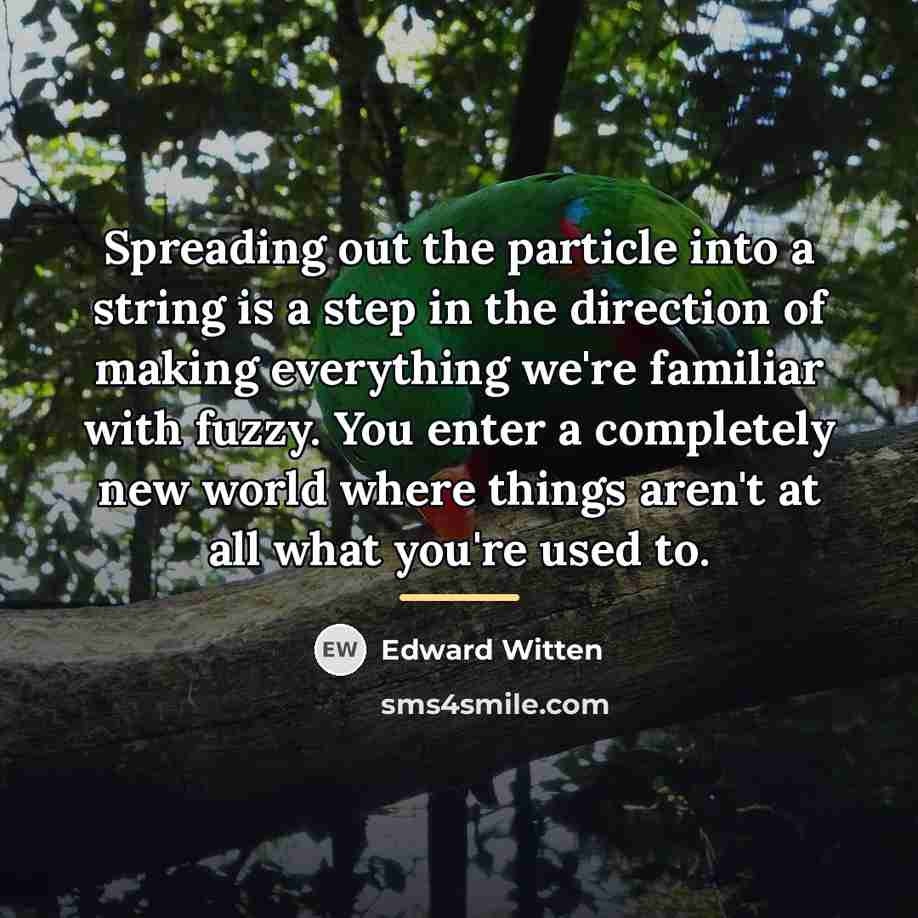 “Spreading out the particle into a string is a step…” quote by Edward Witten