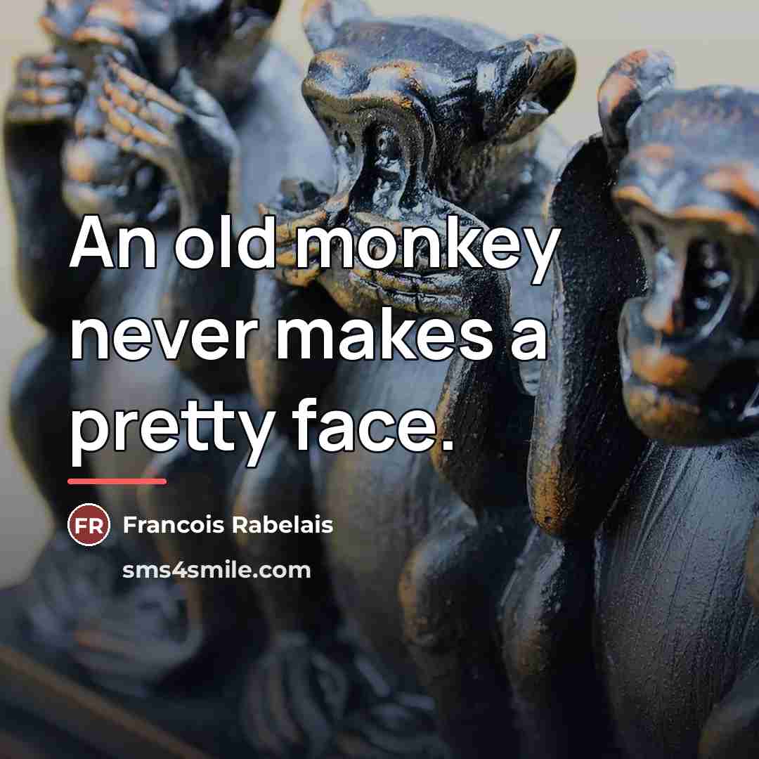 “An old monkey never makes a pretty face.…” quote by Francois Rabelais